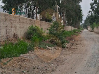Terreno en Venta Condominio Alto Pradera – Cieneguilla