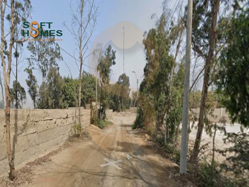 Terreno en Venta Condominio Alto Pradera – Cieneguilla